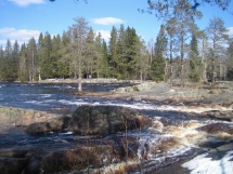 Koitelin kev�t